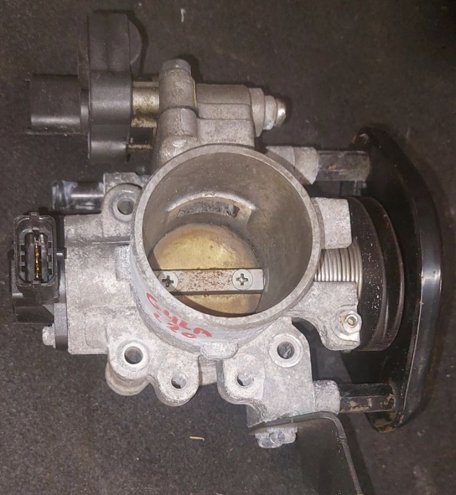 Σώμα πεταλούδας